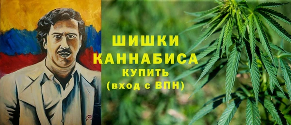 a pvp Гусев