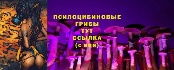 стафф Ханты-Мансийск