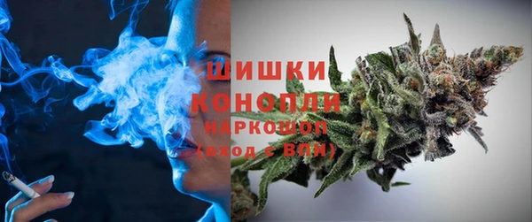 гидропоника Гусь-Хрустальный