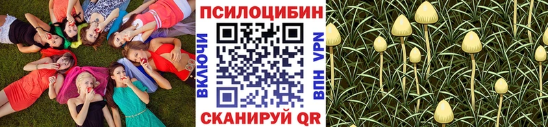 Галлюциногенные грибы Psilocybe  Зверево 